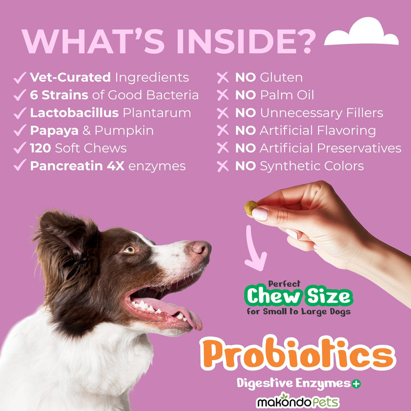 Dog Probiotics with Digestive Enzymes, Allergy Relief. 120 Soft Chews | 6 Probiotic Strains, Digestive Enzymes, Pumpkin & Papaya, Supports Gut Health & Gas Relief, Stool Support