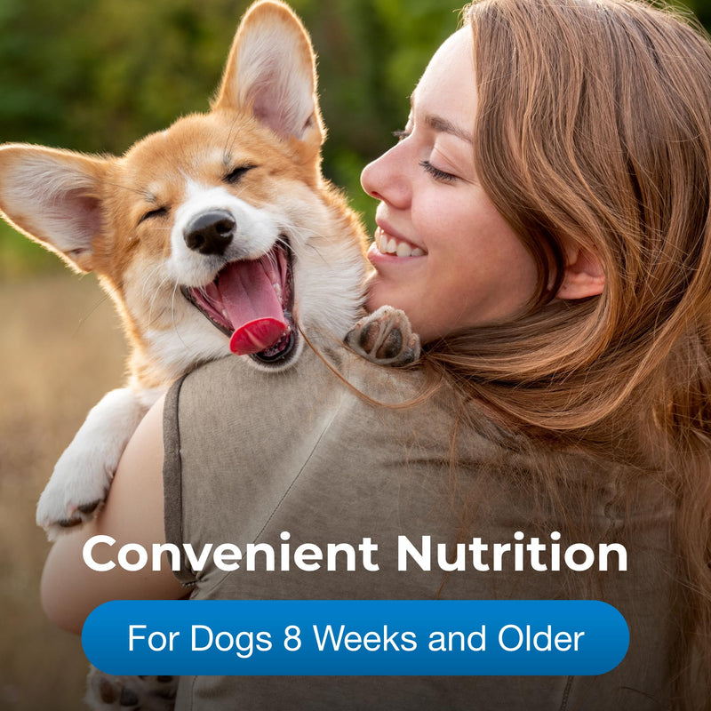 Pet-Ag High Calorie Gel Supplement for Dogs - 5 oz, Pack of 2 - Chicken Flavor - Provides Extra Calories for Dogs 8 Weeks and Older - Easy to Digest - PawsPlanet Australia