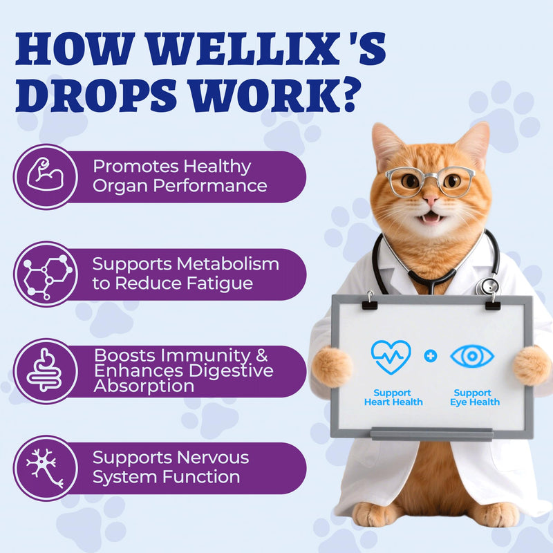 Wellix 4 oz (120 ML) Liquid Taurine Drops for Cats & Dogs, Cat & Dog Supplements & Vitamins for Heart & Vision & Immune Support, Large Bottle Taurine for Multi-Pet Households
