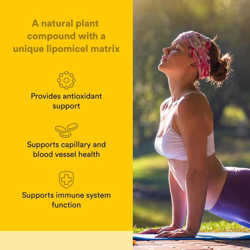 Natural Factors Quercetin LipoMicel Matrix - Supports Immune Health & Capillary Health - Antioxidant Support Supplement with Highly Absorbable Quercetin - 120 Softgels (120 Servings) 120 Count (Pack of 1)