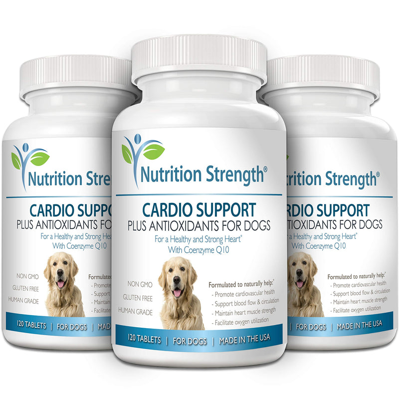 Cardio Support for Dogs Plus Antioxidant, L-Carnitine, L-Taurine, with Coenzyme Q10 and Vitamin E, Promotes a Healthy and Strong Dog Heart, 120 Chewable Tablets - BeesActive Australia