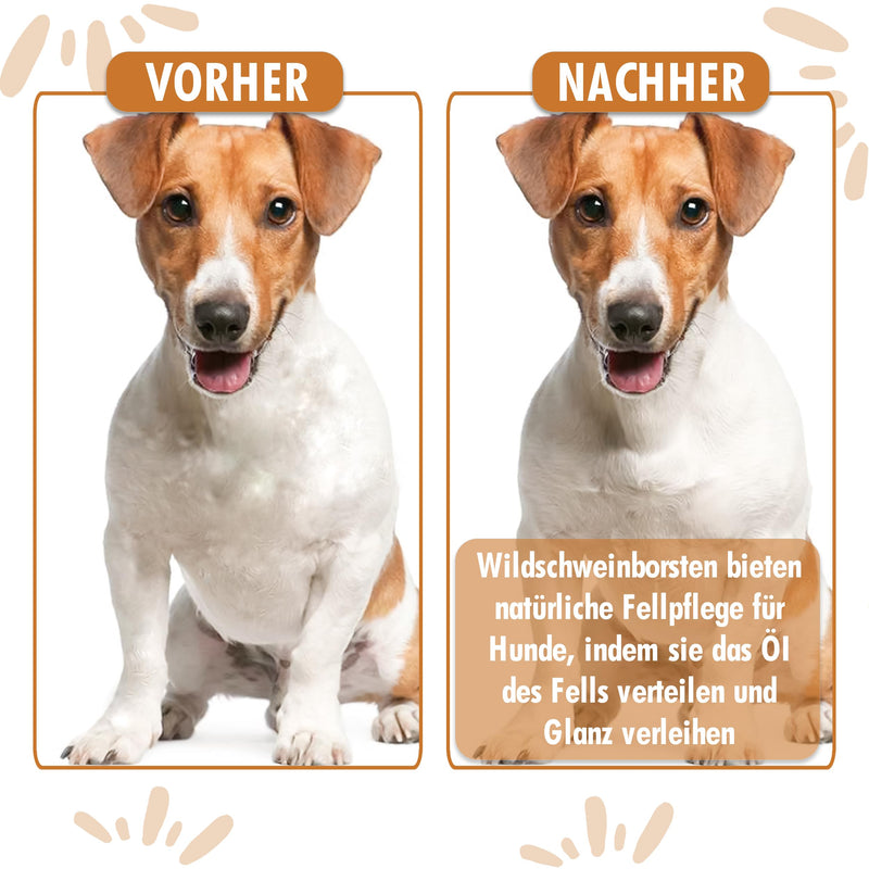 Test grade: Very good - Combination dog brush & cat brush I Smoothing and detangling I Suitable for short - medium-length fur I Dog comb for undercoat I + Free care manual 1 piece (pack of 1) combination brush - BeesActive Australia