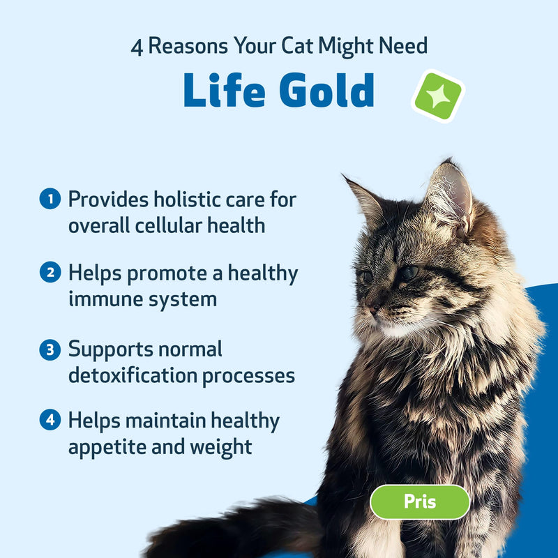 Pet Wellbeing Life Gold for Cats - Immune Support, Antioxidants, Detoxification, Cellular Health, Astragalus, Blessed Thistle, Sheep Sorrel - Veterinarian-Formulated Herbal Supplement 2 oz (59 ml) 2oz - BeesActive Australia