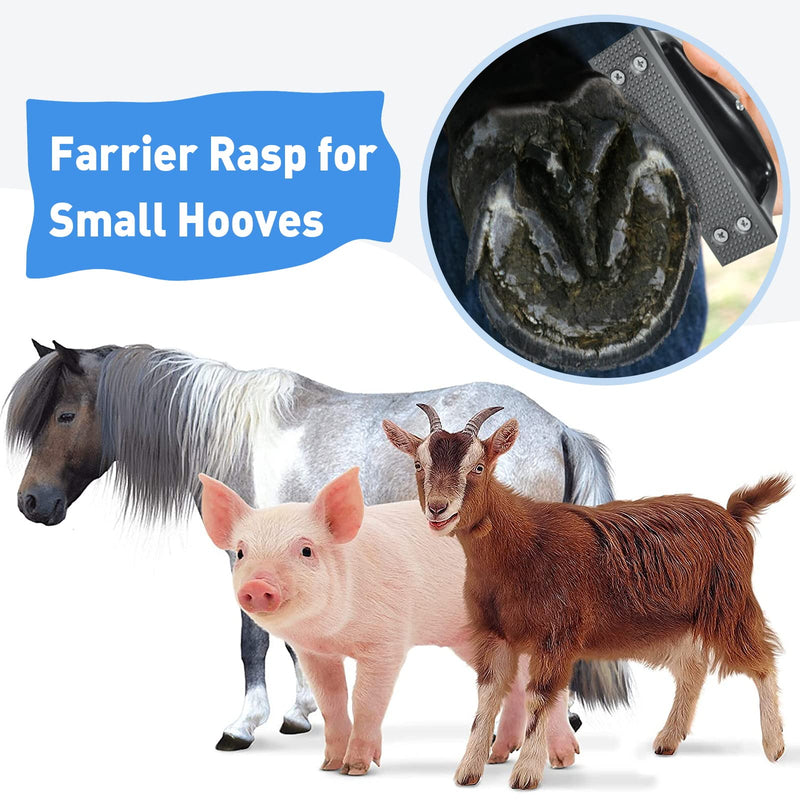 Goat Hoof Rasp File, Farrier Rasp for Small Hooves, Goat and Small Animals Black - BeesActive Australia