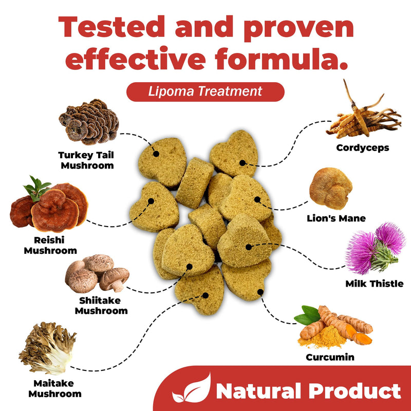 Dog Lumps and Bumps Supplement, Lipoma Treatment for Dogs - Immune Support Chews with Turkey Tail Mushroom, Reishi, Shiitake, Maitake, Curcumin & CoQ10 - Veterinarian formulated - 150 Chews