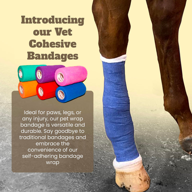 Prairie Horse Supply 24 Rolls Assorted Self Adhesive Bandage Wrap 4 Inch Elastic Cohesive Vet Tape for First Aid, Medical, Sport & Animals Wound - BeesActive Australia