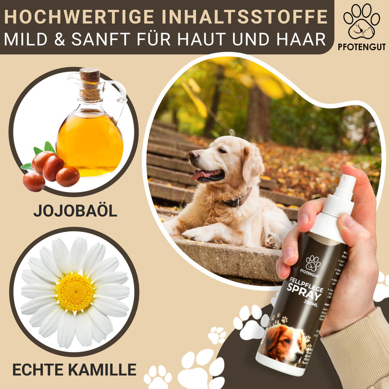 PFOTENGUT® Fur Care Spray Dog [250 ml] - care and detangling spray developed by veterinarians for silky, shiny fur [suitable for all dogs] - with jojoba oil and chamomile 250 ml (pack of 1) - BeesActive Australia