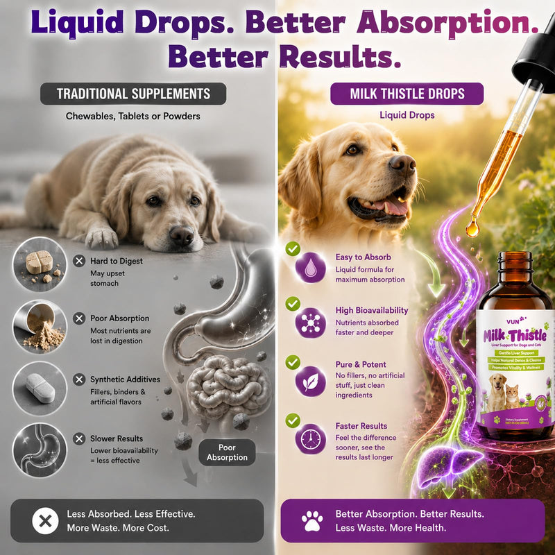 Milk Thistle for Dogs & Cats,Liquid Liver Supplement for Dog,Liver Detox &Immune,Herbal Formula with Antioxidants,Easy-Absorb Drop, Chicken Flavor 2 fl oz