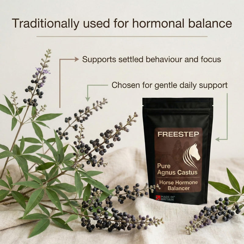 Pure Agnus Castus | Natural Mare Calming and Hormonal Support for Horses | Pure Vitex Chasteberry Powder for Behaviour Balance and Moody Mares | Horse Temperament 500g | 4 Month Supply