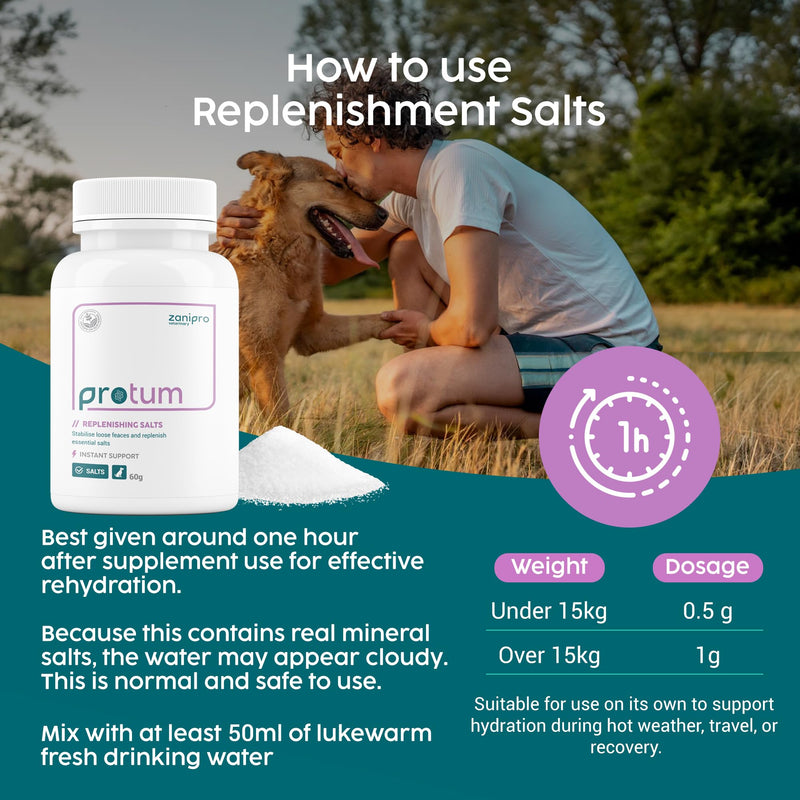 Dog Electrolytes, Rehydration & Essential Salt Replenishment for Dogs After Diarrhea, Gut Recovery – Appetite Stimulant, Fast & Effective Hydration, 60g - 60 Servings Replenishing Salts