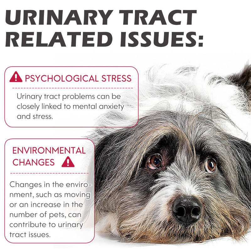 Dog Uti Treatment, Uti treatment for dogs, Urinary Tract Infection Treatment, Natural Uti Care Drops for Dog, Urinary Care for Dogs, Keep Pet Bladder and Renal Health (2PC) 2PC