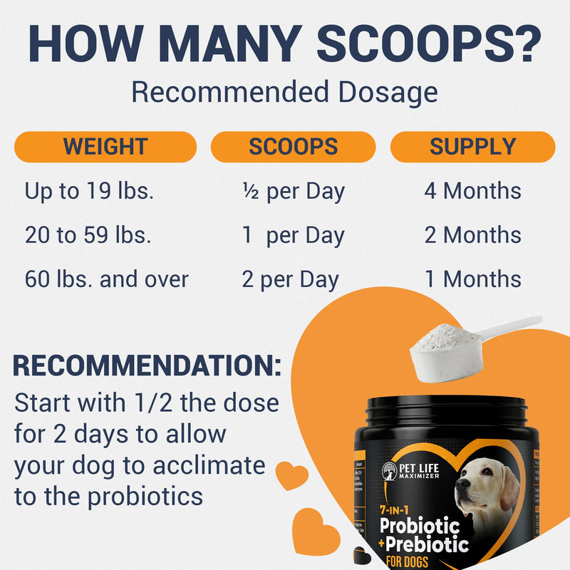 7-in-1 Probiotic + Prebiotic for Dogs. For Digestive Health, Yeast, Itchy Skin, Itchy Ears, Paw Licking. Dog Gut Health Probiotics Supplement 5 Billion CFU Multi-Strain Formula. Daily Powder Topper