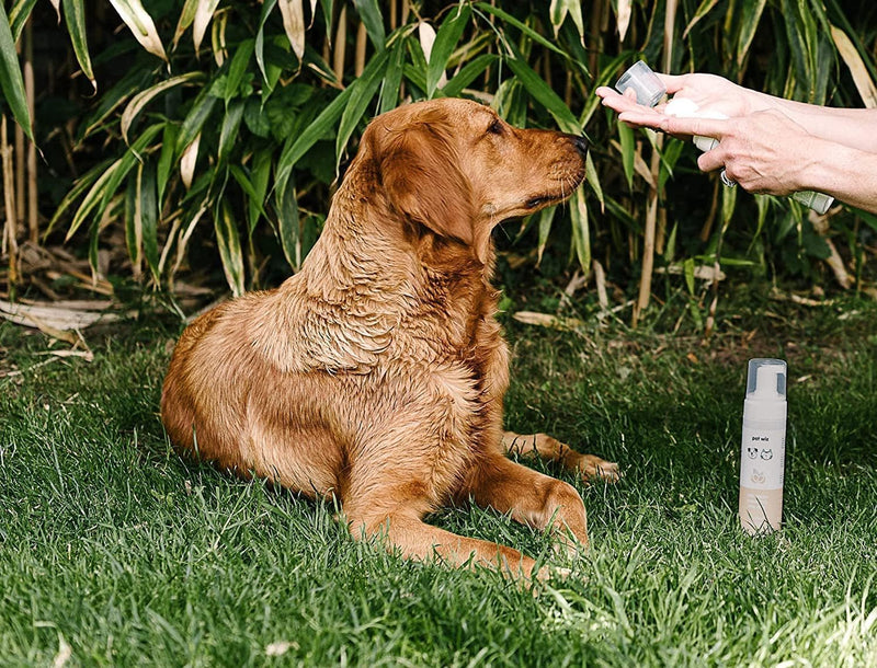 Dry Wash - Shampoo for Pets - Soothing & Deodorizing, Natural Ingredients, Quick Drying & No Rinse Required (Aloe Vera and Oatmeal) Aloe Vera and Oatmeal - BeesActive Australia