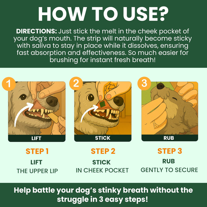Bad Breath Oral Support for Dogs 5 in 1 – 10 Oral Melts – Natural Sage, Spirulina, Apple Cider Vinegar – Dog Dental Care Products & Breath Freshener – Fast Dissolving Dog Breath Treats 10 Strips