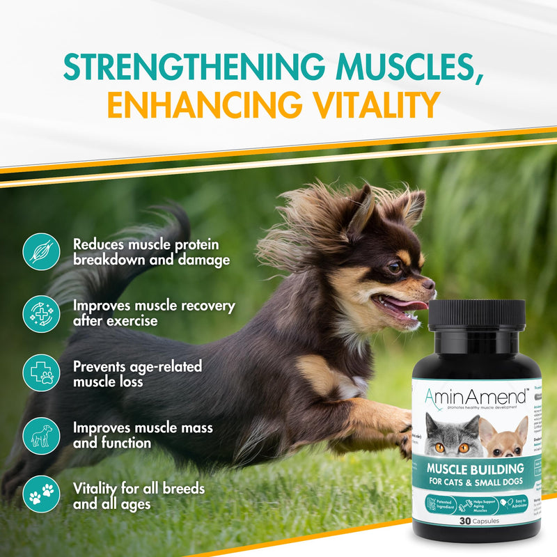 Muscle Support Pet Supplement for Small Dogs & Cats with CaHMB & Vitamin D3 – All Ages & Senior Dog Supplements for Muscle Strength, Mobility & Daily Activity – (30 Capsules, 2-Pack) 180 mg