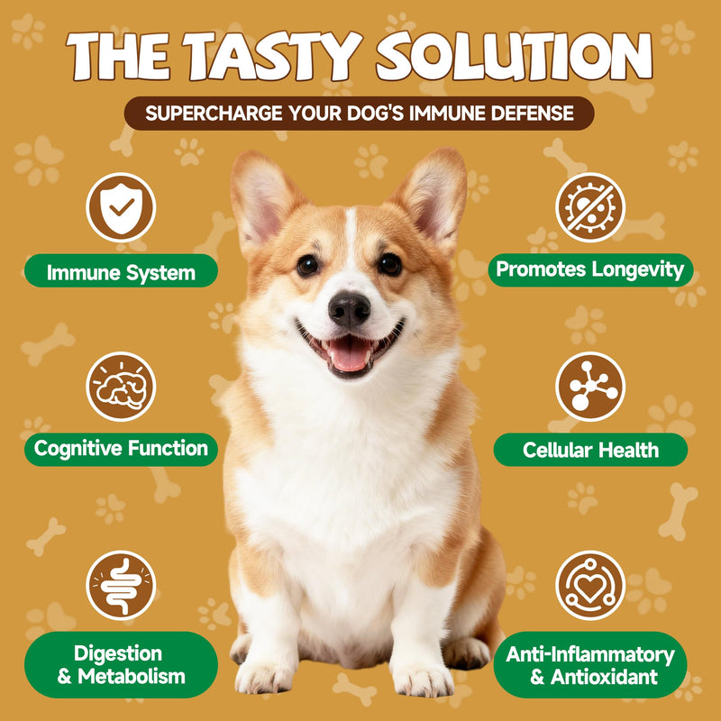 2 Pack Organic Mushroom Supplement for Dogs - 18-in-1 Blend with Turkey Tail, Reishi, Lion's Mane + Mushroom for Dogs - Turkey Tail Mushroom - Lumps & Bumps Treatment