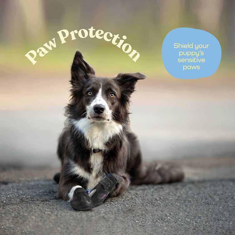 Waterproof Dog Shoes - Stylish Designed Shoes for Dogs - Dog Boots with Non-Slip Rubber Bottom Protects Paw from Hot or Cold Pavement, Dog Booties with Reflective Straps for Dogs Safety, Puppy Shoes. Black Size 7: 2.99"Width 2.95"Length - BeesActive Australia