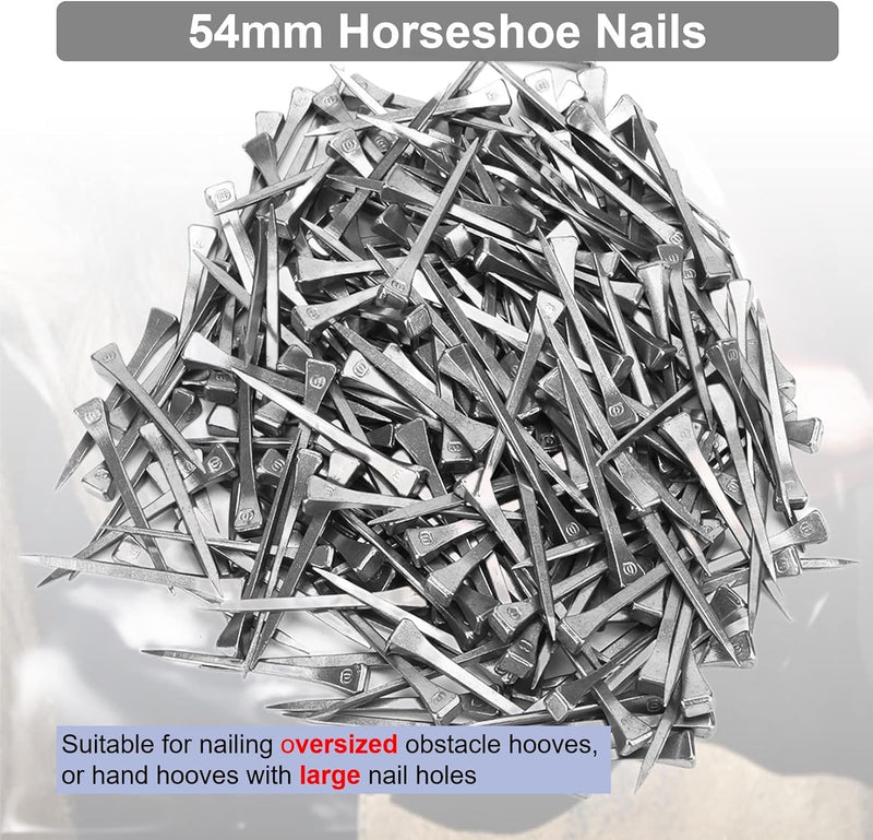 250PCS Horseshoe Nails, Horseshoes Equipment Equestrian Sport Equipment Horse Training Supplies Tool 2.1 Inch E6 Hoof Nails for Horse Race - BeesActive Australia