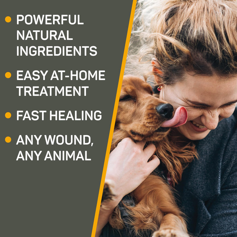 Absorbine Silver Honey Hot Spot & Wound Care Spray Gel for Dogs, Cats, Small Animals, 8oz Bottle - PawsPlanet Australia