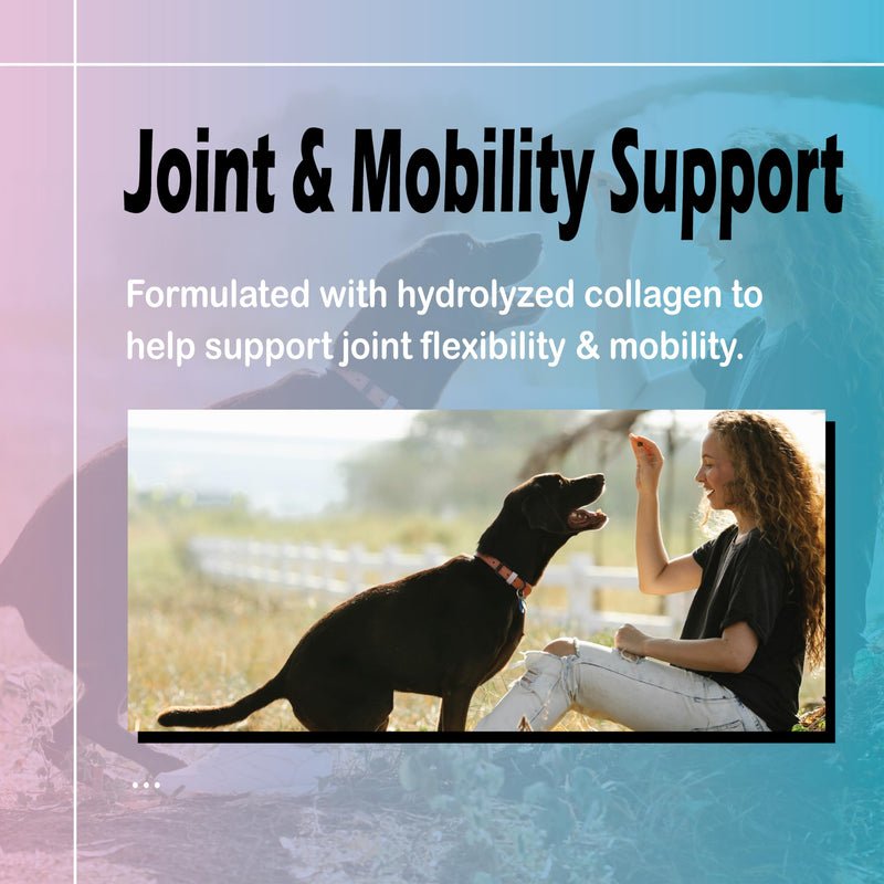 Healthy Petz Premium Liquid Collagen Drops for Dogs - Three Collagen, Hyaluronic Acid & Vitamins - Joint Support, Skin & Shiny Coat - Everyday Vitality Supplement, High Absorption, 2 Fl Oz