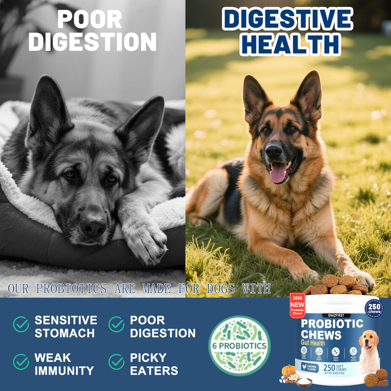 Probiotics for Dogs, Dog Probiotics Chews for Digestive Health & Gut Health, Improve Immune System,Constipation & Diarrhea Relief(Chicken Flavor, 250 Chews) 250 CHEW