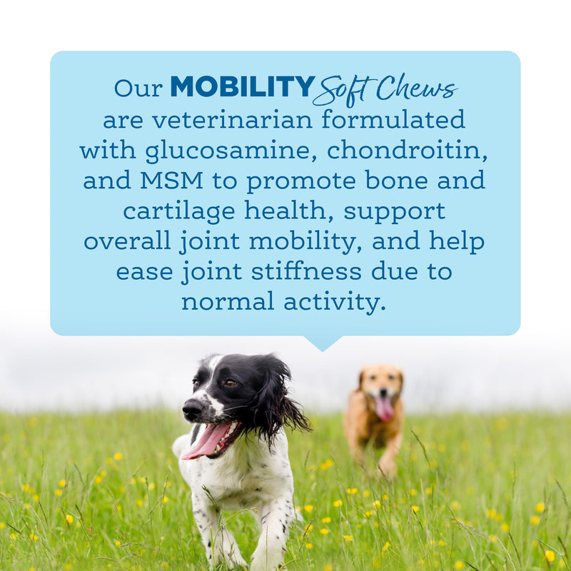 NutriSource AmpliFull Turkey Flavor Mobility Soft Chews for Dogs, Daily Joint Health Supplement with Glucosamine & Chondroitin for Flexibility & Comfort, 70 Chews (1 Pack) Mobility - Turkey