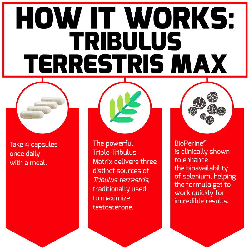 FORCE FACTOR Tribulus Terrestris Max for Men 2-Pack, Testosterone Booster, Male Vitality Supplement, Made with Key Natural Ingredients Superior Absorption, 2000mg, 240 Capsules, Red Unflavored 120 Count (Pack of 2) - BeesActive Australia
