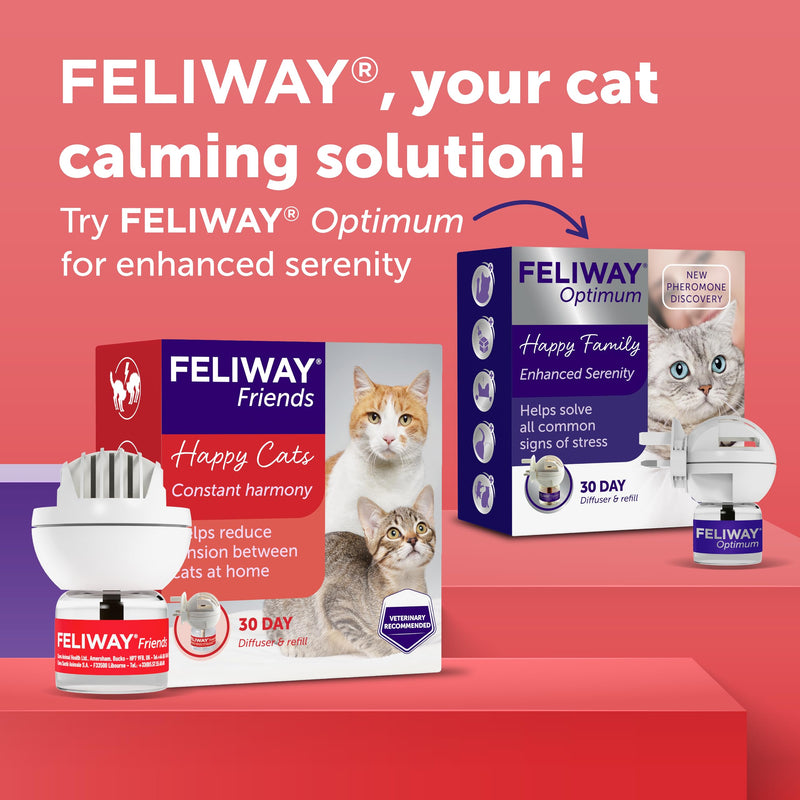 FELIWAY Friends 30 Day Cat Calming Plug In Pheromone Diffuser Starter Kit, 48ml - Helps create harmony and resolve conflict in multi cat households, Veterinary Recommended, Clinically Proven 48 ml (Pack of 1)