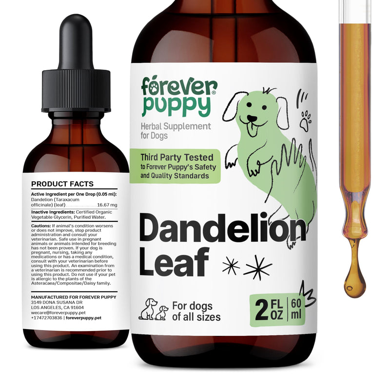 Forever Puppy Dandelion Leaf Drops for Dogs - Kidney Health Liquid Supplement for Large, Medium & Small Dogs - Kidney Cleanse Detox Drops w/Dandelion Leaves Tincture - 2 oz 2 fl oz