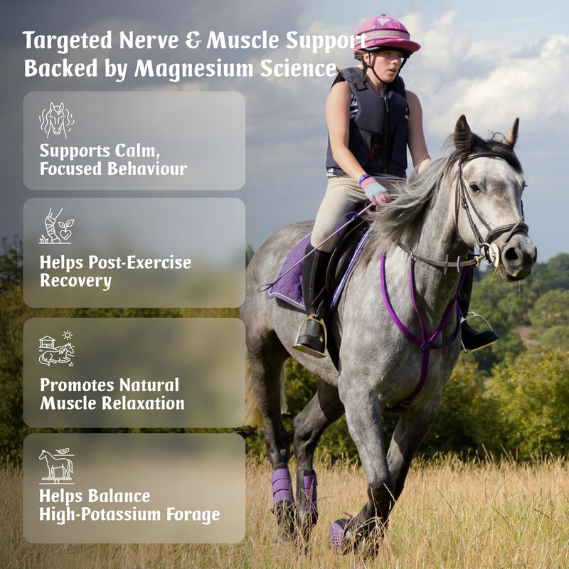 EquiNerve MagneFix for Horses | 240 Easy-Open Capsules - 4 Months Supply | Magnesium Citrate Horse Calmer, Mood, Muscle Tension & Comfort and Post-Excercise Recovery | Made in the UK