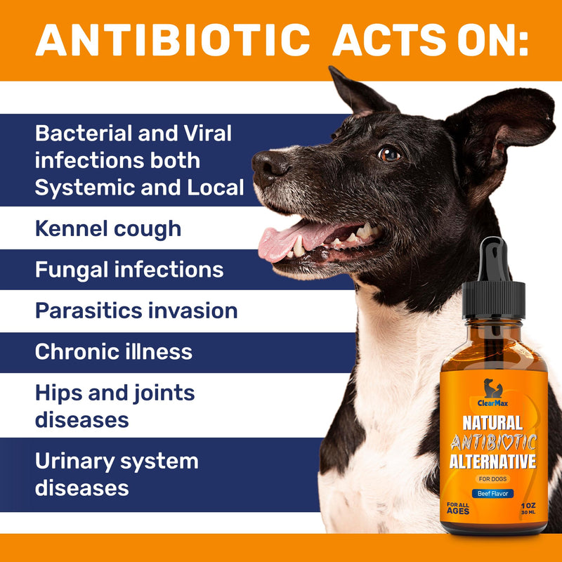 Dog Antibiotics ◆ Antibiotics for Dogs ◆ Natural Antibiotics for Dogs ◆ Antibiotic for Dogs ◆ Dog Antibiotic ◆ Beef Flavor ◆ 1 Oz - BeesActive Australia