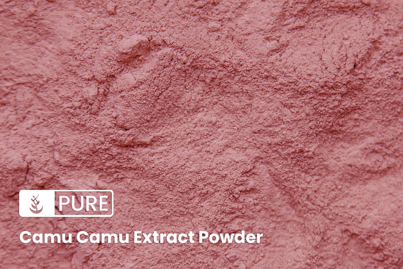 PURE ORIGINAL INGREDIENTS Camu Camu (1lb) Vitamin C, Brazilian Superfood, Lab-Verified, Non-GMO 16 Ounce (Pack of 1)