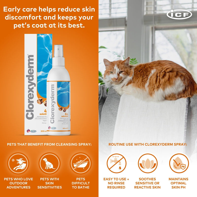ICF | Clorexyderm 4% Solution Spray for Dogs & Cats | Vet-Recommended No-Rinse Skin Cleanser & Conditioner, 200ml