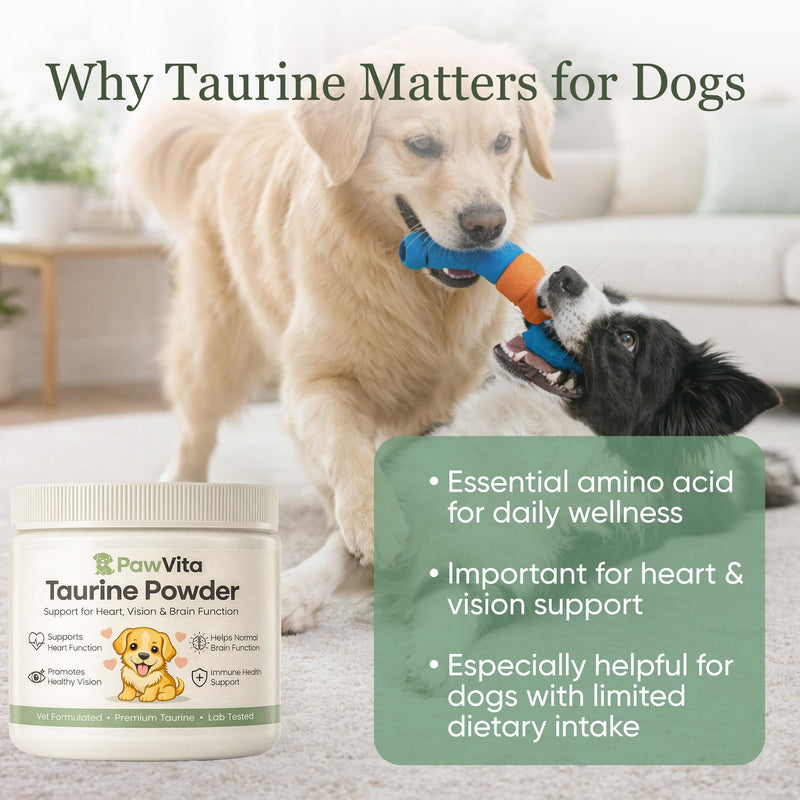 Pawvita Taurine Powder for Dogs, Taurine for Dogs, Supports Heart Health, Vision, Skin & Coat, Boosts Energy & Daily Wellness, Easy to Mix in Food, with Dosing Spoon, 200 Grams/ 7.05 oz 1