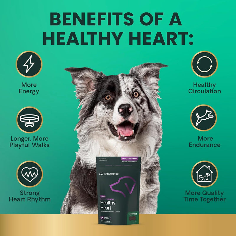 VETRISCIENCE Vetri Cardio Canine Complete Cardiovascular Support for Dogs with CoQ10, Taurine and Arginine , 60 Chews - BeesActive Australia