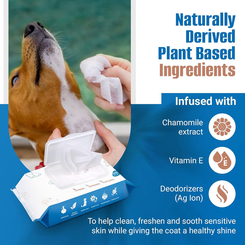 Pet Wipes for Dogs 100Pcs/1Pack – Unscented Dog Wipes with Vitamin E, Chamomile – Gentle Cat Wipes Ideal for Muddy Paws, Face, Dog Eye Wipes, Dog Ear Wipes – Resealable Lid Butt Wipes 100 Count/1 Pack - BeesActive Australia