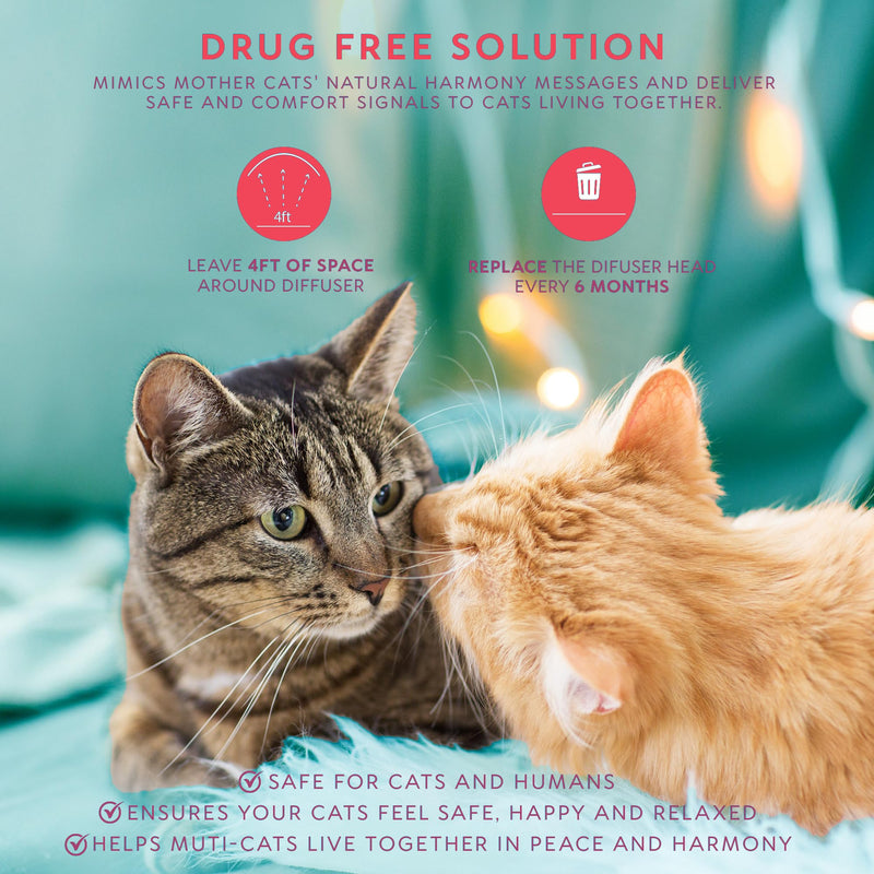 Cat Calming Pheromone Diffuser Plug-in – Feline Pheromones for Home Comfort, Helps Reduce Spraying, Scratching, Fighting & Excessive Meowing (Mint) Mint
