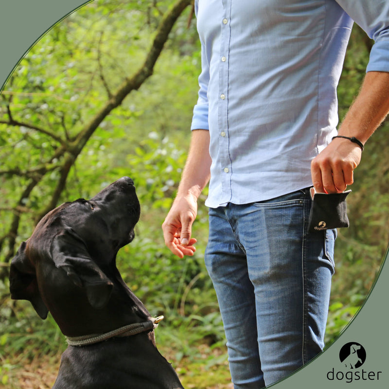 DOGSTER® treat bags for dogs - treats always with you - snack bag - quick access to reward - including carabiner - treat bag DOG01 - BeesActive Australia