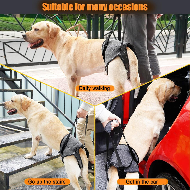 Dog Sling for Large Dogs Hind Leg Support Dog Lift Harness Adjustable Durable Rear Lift Support Harness for Weak Back Legs, Elderly, Injured, Senior, Arthritic, ACL Recovery Pet XL Grey