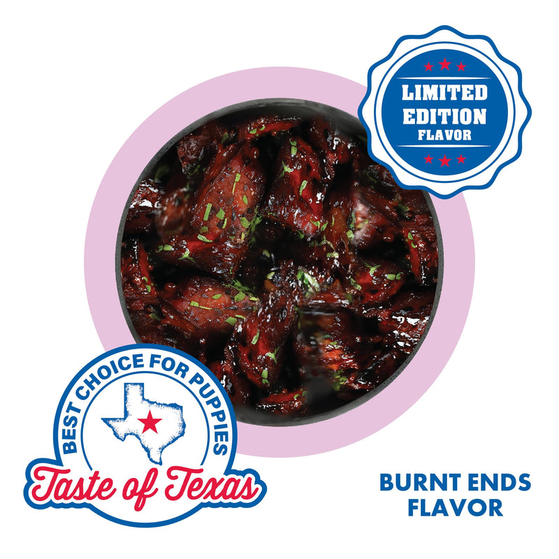 N-Bone Puppy Teething Rings Taste of Texas Burnt Ends Flavor 3 Count 3.6 Ounce (Pack of 1) - BeesActive Australia