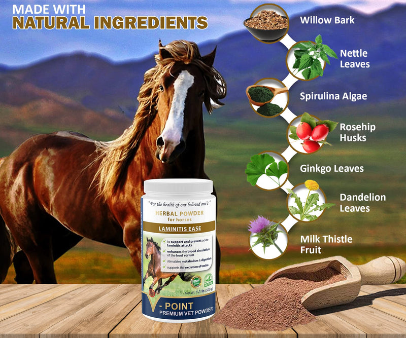 V-POINT - Laminitis Ease - hoof supplements for horses - horse hoof care product based on natural herbal powder - Ideal for hooves Health and Conditioning (1.0 lb) - BeesActive Australia