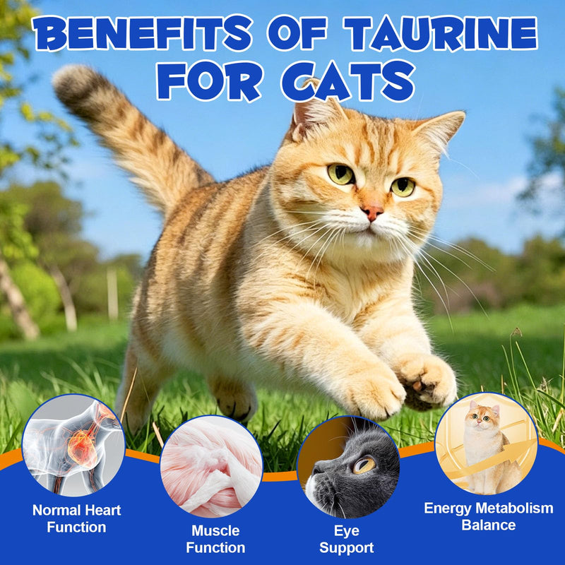Taurine for Cats, Taurine Powder for Cat Supports Heart, Skin & Coat, Vision & Immune, Cat Taurine Supplement for All Ages & Breeds of Cats - 200g