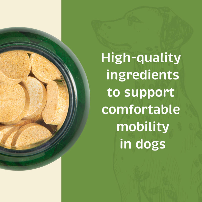Spirited Paw Joint + Mobility - Joint Support & Comfortable Mobility for Dogs - Beet Root, Turmeric Extract & Ginger - Includes Antioxidants and Vitamins C & E - 100 Chewable Wafers