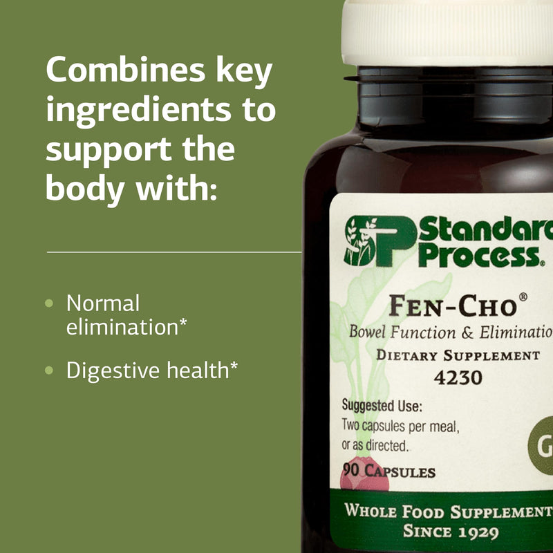 Standard Process Fen-Cho, Digestive & Gut Health Supplement, 90 Capsules | Digestive and Gut Health Supplement with Fenugreek and Collinsonia Root, Gluten-Free, Non-Dairy and Non-Soy