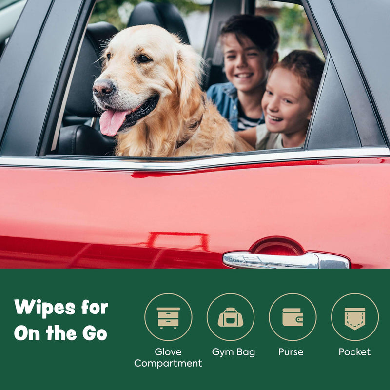 Dog Wipes for Cleaning and Deodorizing - 50 8.5" x 9" Bamboo Pet Wipes - Compostable, Hypoallergenic Puppy Wipes - Dog Wipes for Paws, Butt, and Body 50 Wipes (1 Pack of 50) - BeesActive Australia