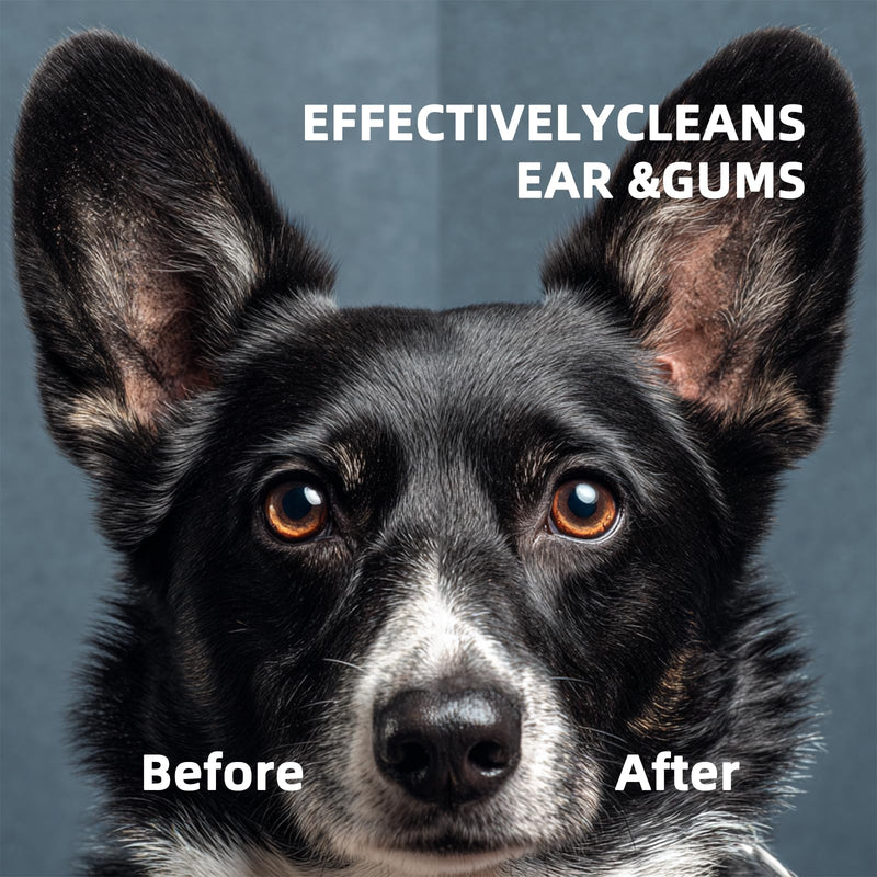 Dog Ear Wipes, Ear Wipes for Dogs, Cat Ear Wipes, Dog Ear Cleaning Wipes, Cat Wipes, Pet Wipes for Cats, Cat Cleaning Wipes – Pet Ear Cleaning Finger Wipes for Cats: Ear Wipes, Weekly Care