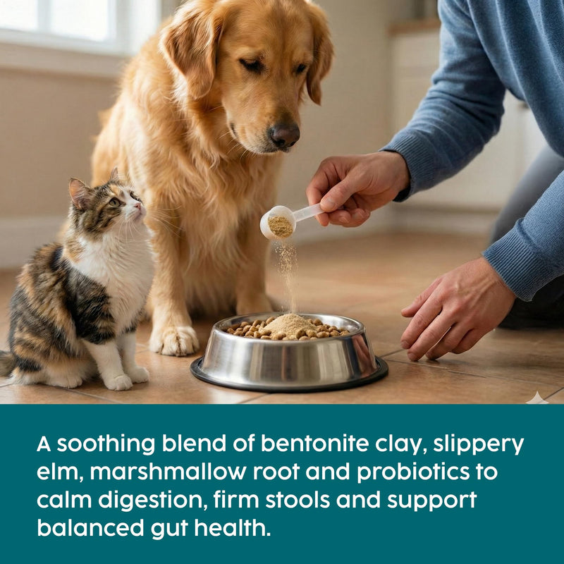 Slippery Elm for Dogs & Tree Barks - 100g Powder with Probiotics for Dogs and Cats, Marshmallow Root for Gut Health, Digestion, Dog Acid Reflux Treatment, Bloat Relief & Upset Tummy & Diarrhea