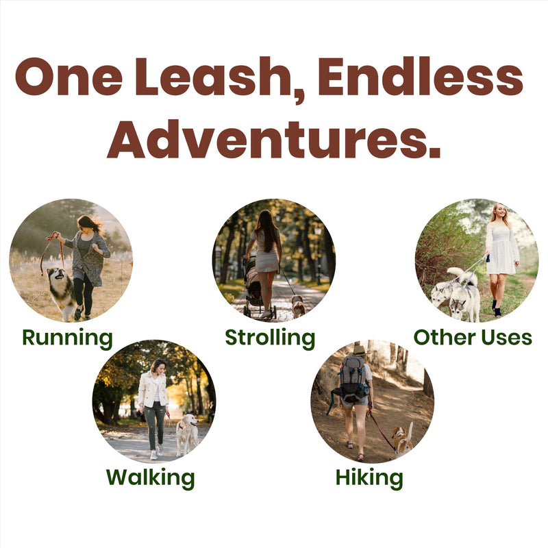 𝐇𝐞𝐚𝐯𝐲 𝐃𝐮𝐭𝐲 Hands Free Dog Leash for 2 Dogs – Dual Bungee Running Leash with Adjustable Waist Belt, Tangle-Free 360° Swivel, Shock Absorbing, Padded Handles & Zipper Pouch - BeesActive Australia
