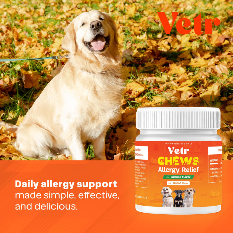 Vetr Allergy Relief Chews for Dogs - Dog Itching Skin Relief, Dog Allergy Treats with Probiotics and Omega-3 - Chicken Flavored 120 Count - Vet-Formulated in USA
