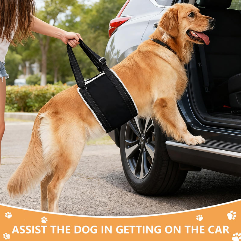 Dog Carrying Aid, Adjustable Walking Aid and Rehabilitation Carry Strap for Various Sizes, Safety Support for Disabled, Injured or Older Dogs, L